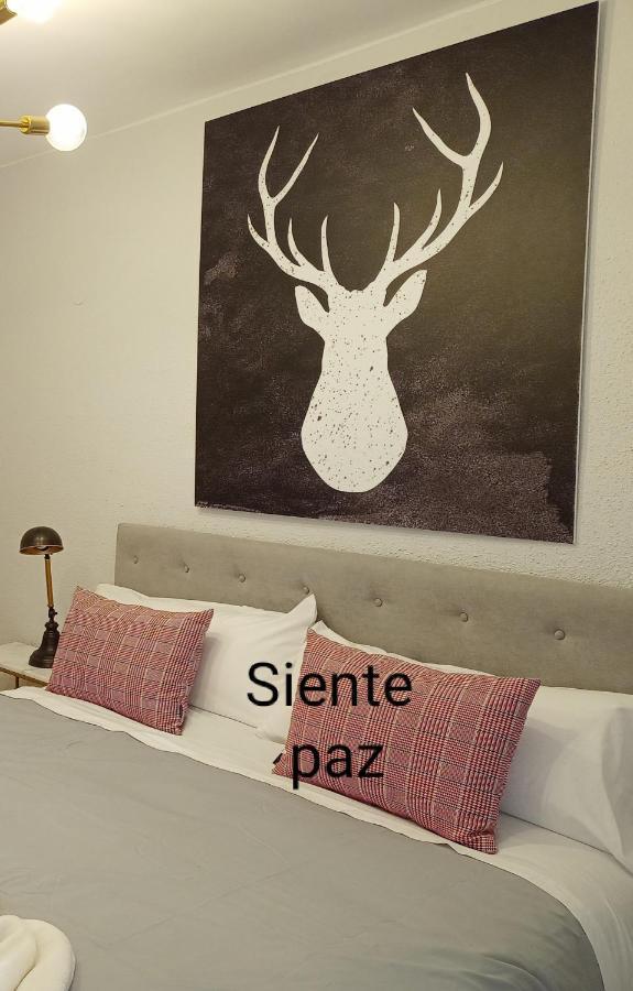Origen Pelaire Excelente Limpieza Y Ubicacion Lejlighed Biescas  Eksteriør billede